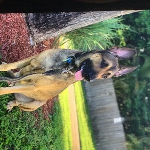 Meet your Posher, Orlando